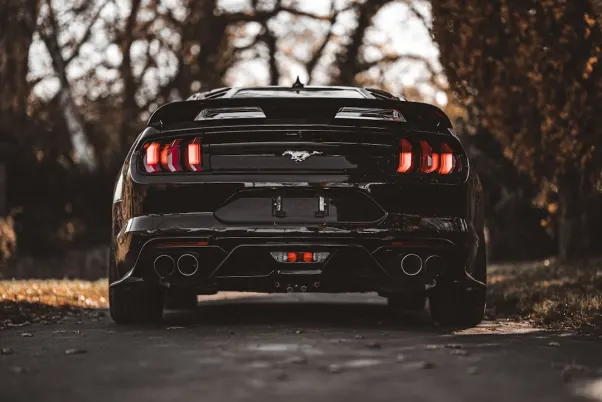 Winning Kaszinó Android/iOS Alkalmazás